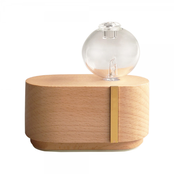 Portable Wood Glass Aromatherapy Essential Oil Diffuser